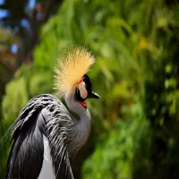 Gran Canaria, Maspalomas i Palmitos Park - fotorelacja.