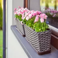 Dzień Ziemi i nasz rodzinny ogród...