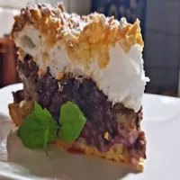 Ciasto pleśniak / skubaniec z rabarbarem.