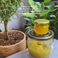 Domowa maść z rozmarynu i liści laurowych na stawy, mięśnie i żylaki