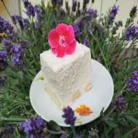 Sernik kokosowy bez pieczenia