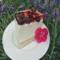 Sernik na zimno z twarogu