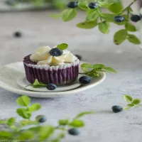 Miniserniczki jagodowe z niskim indeksem glikemicznym