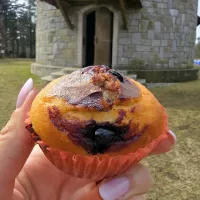 Muffinki z borówkami/jagodami