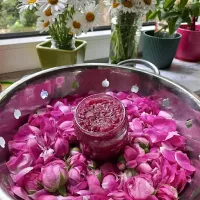 Konfitura z płatków róży - Rose Petal Jam Recipe - Confettura di petali di rosa