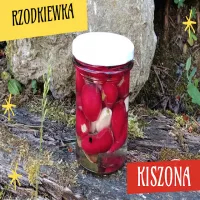 Kiszona rzodkiewka