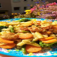 Frosta Noodles&Chicken...