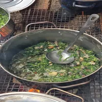 Warsztaty dzikiej kuchni z Łukaszem Łuczajem