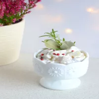 ŚLEDZIE Z JABŁKAMI