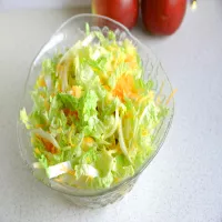 SURÓWKA Z KAPUSTY PEKIŃSKIEJ I JABŁKA