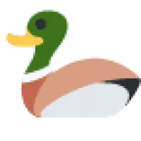 Pieczona pierś z kaczki