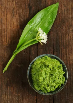 Pesto z czosnku niedźwiedziego