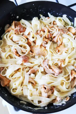 Tagiatelle z kurkami