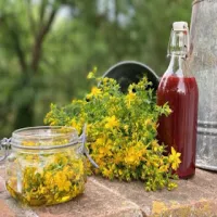 olej z dziurawca-„balsam dla skóry, ciała i ducha”