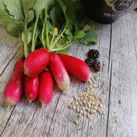 Sałatka z rzodkiewki i kaszy jęczmiennej