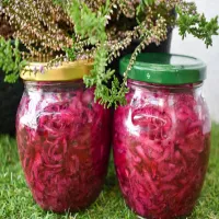 Czerwona kapusta do zimowych obiadów