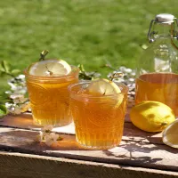 Cytrynowo-imbirowa kombucha