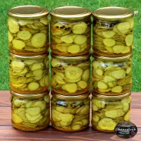 Plasterki kanapkowe na zimę