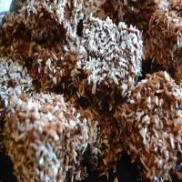 Kokosanki - wspomnień czar