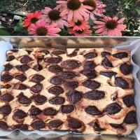 Ekspresowe ciasto śliwkowe z mąki orkiszowej i ziemniaczanej