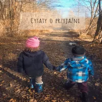 Krótkie cytaty o przyjaźni