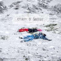 Krótkie cytaty o śniegu