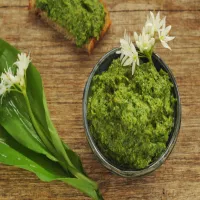 Pesto z czosnku niedźwiedziego