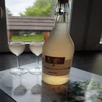 Rabarbarówka na miodzie