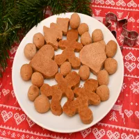 Pierniczki AIP (bez jajek i orzechów)