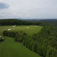 Świnie rasy puławskiej w Manufakturze Dobra – smak, który wraca do korzeni