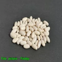 Jak przechowywać suchą fasolę.